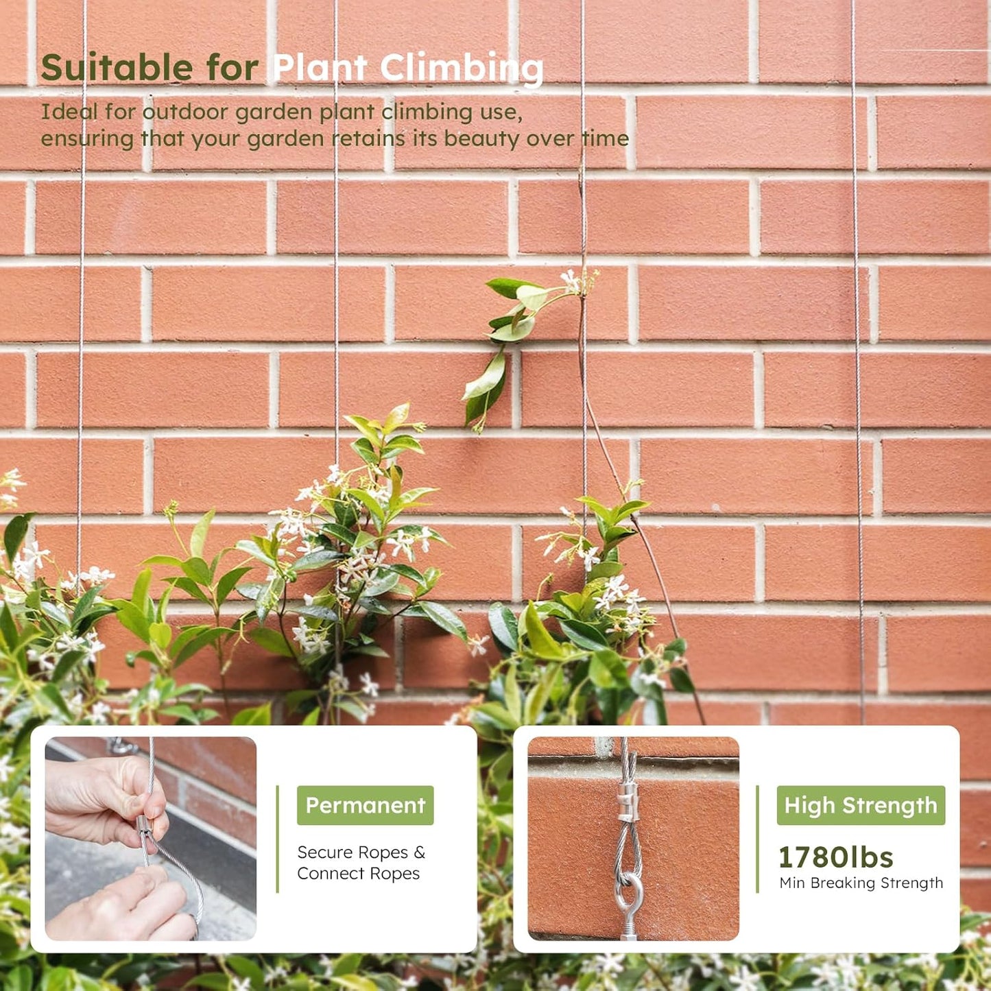 1/8 Inch Stainless Steel Cable Kit 164FT, 7 x 7 Strands Wire Rope with Aluminium Sleeves & Thimbles for Deck Railing, String Light Hanging, Shade Sail, Garden and DIY Projects