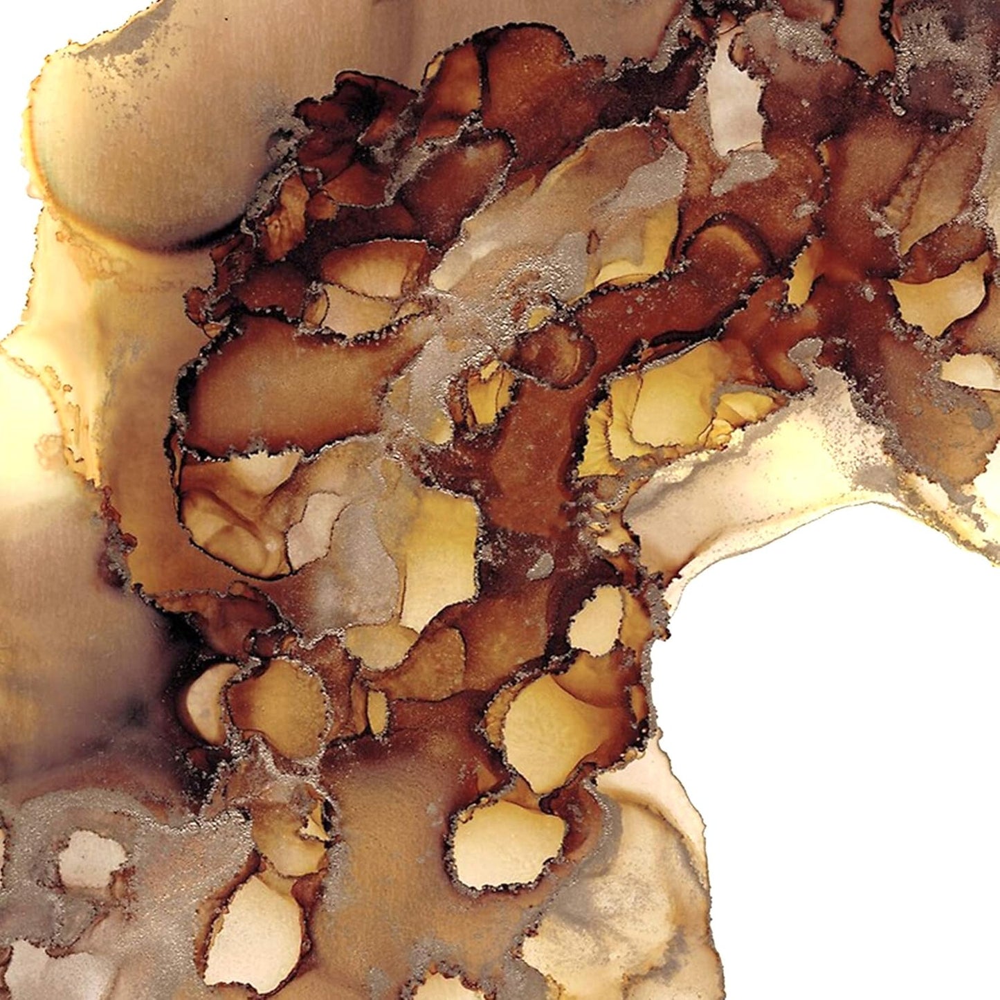 Pixiss Brown Alcohol Ink Set - 5 Shades of Highly Saturated Alcohol Ink for Epoxy Resin Supplies, Yupo Paper, Tumblers, Coasters - Resin Colorant for Epoxy Resin and Resin Art Supplies