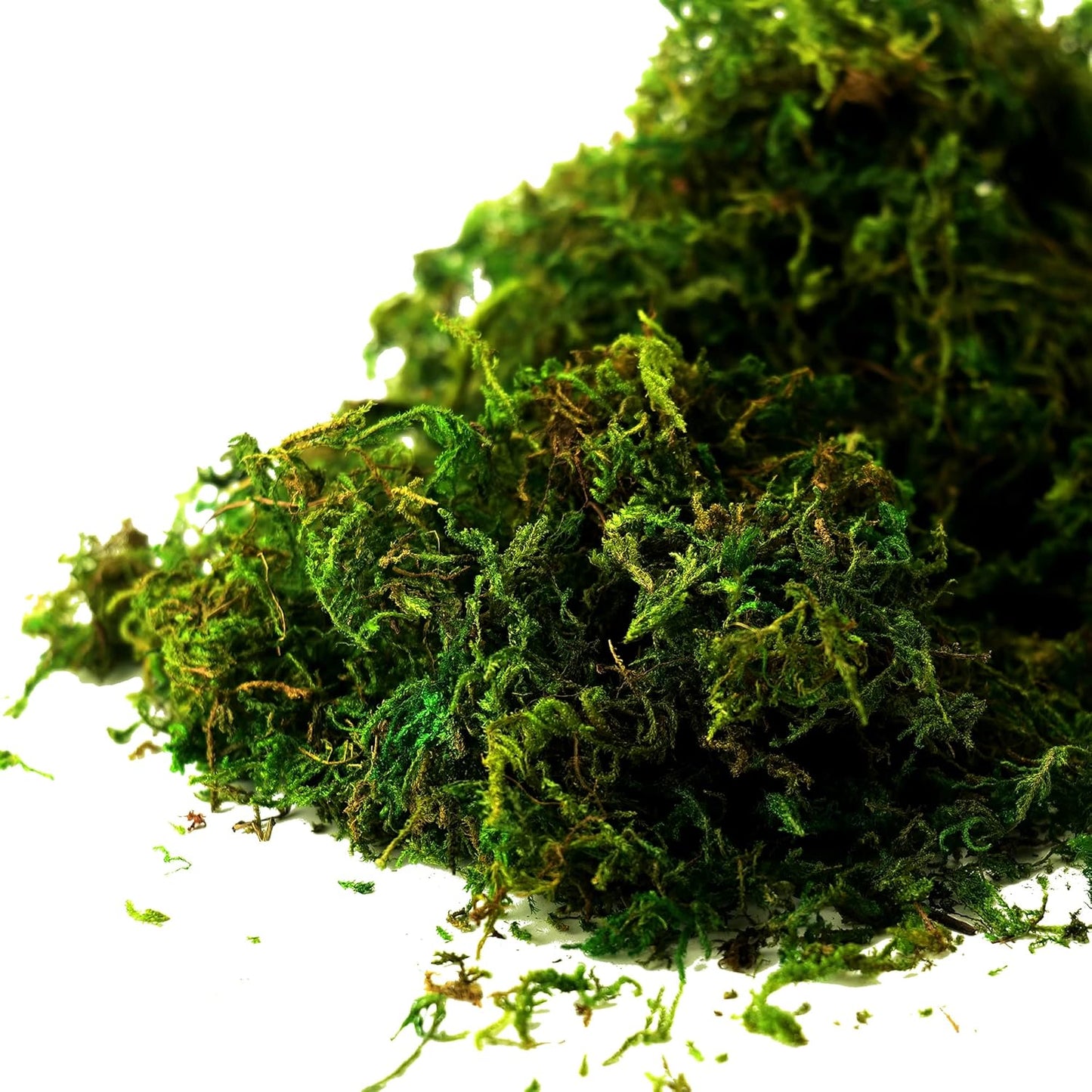 Moss for Plants Indoor, 16OZ Fresh Green Artificial Moss for DIY Crafts, Table Centerpieces- Faux Grass for Hamsters Micro-Landscape Terrariums Centerpieces Decor (Fresh Green)