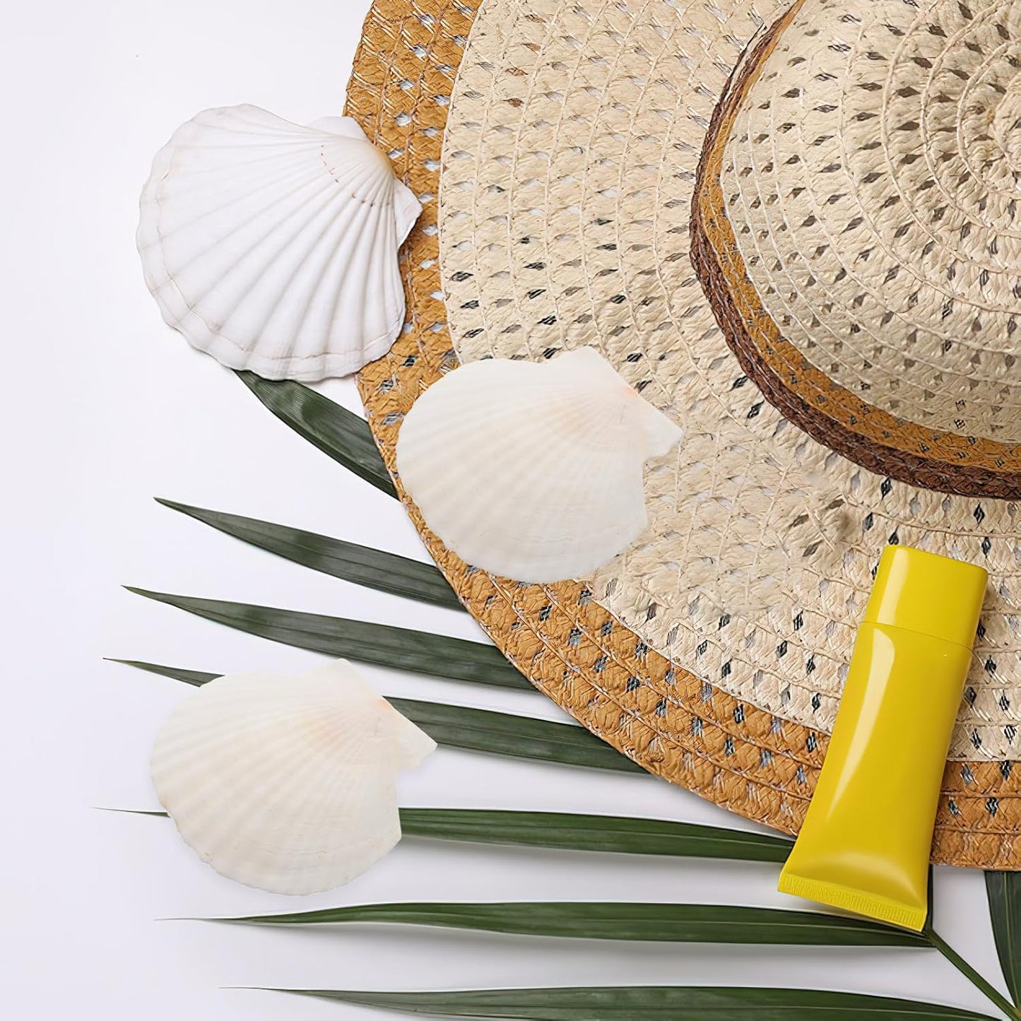 GLEAVI Scallop Shells for Crafts: 21pcs Natural Scallop Shells Bulk 3.14 Inch Sea Shell Decoration for Ocean Themed Parties and Home Decor