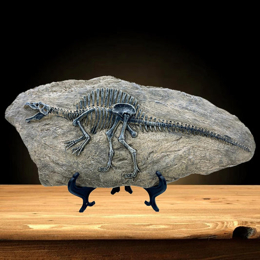 XINDAM Resin Spinosaurus Dinosaur Fossil Statue Model Simulated Skeleton Home Office Display Decorative Craft Box Decoration (Style 8)