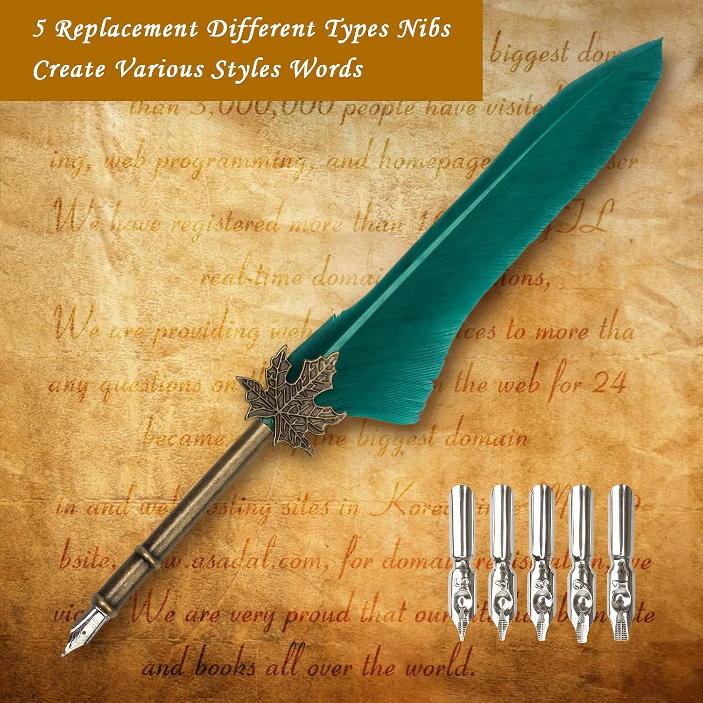 AHIER Quill Pen and Ink Set, Feather Pen Quill Pen Set Includes 5 Steel Replacement Nibs,Pen Nib Base and Dip Ink Bottle for Antique Calligraphy