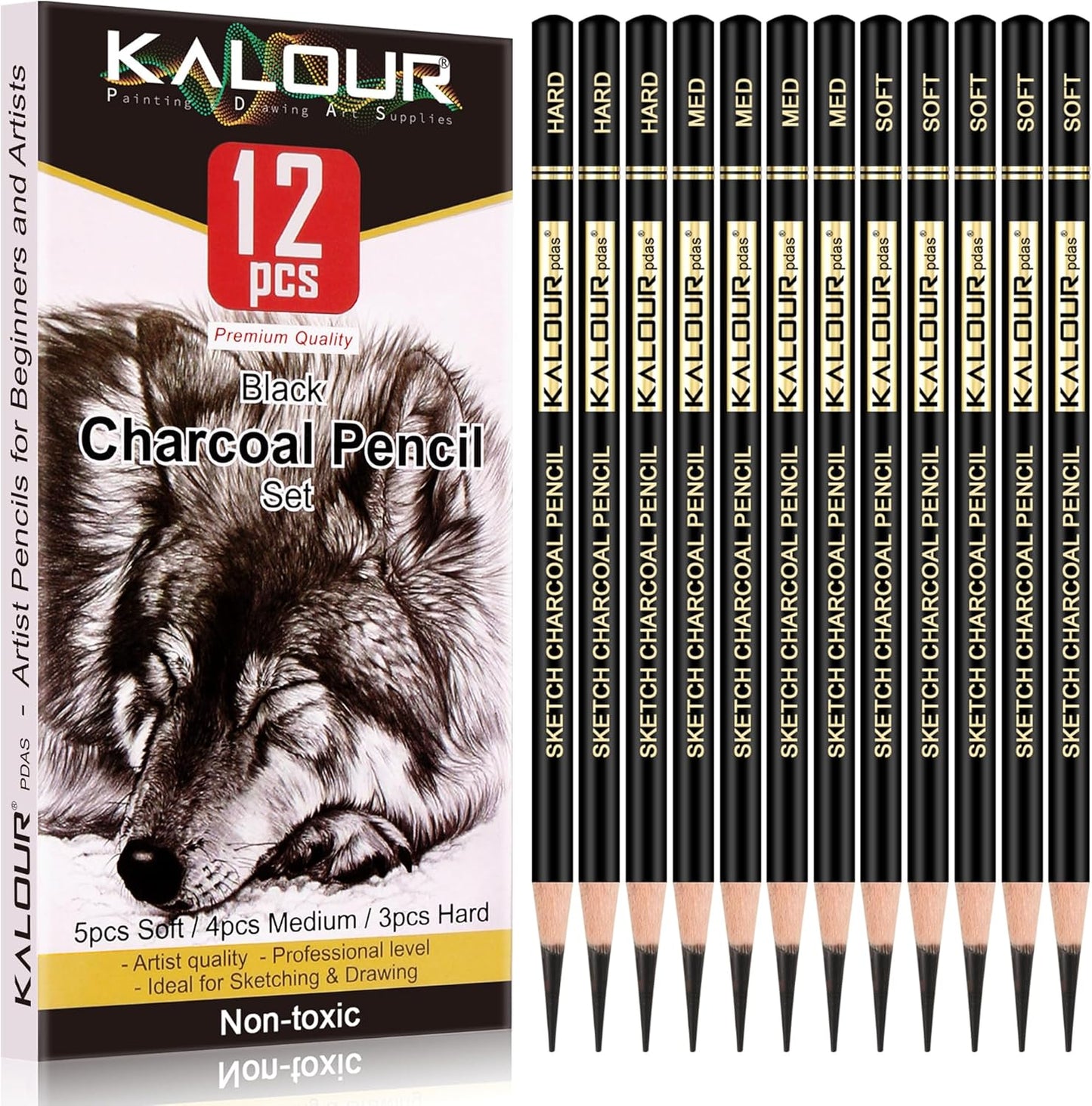 KALOUR Professional Charcoal Pencils Drawing Set -12 Pieces Soft, Medium and Hard Charcoal Pencils for Drawing, Sketching, Shading, Artist Pencils for Beginners & Artists