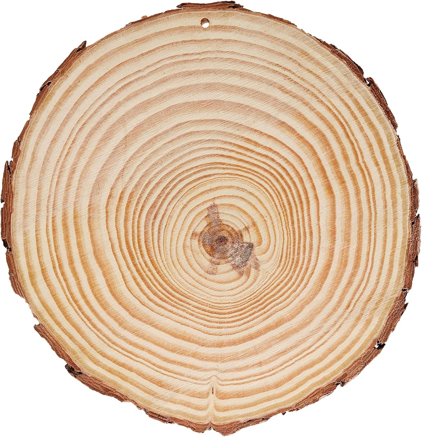 JEUIHAU 10 PCS 6.7-7 Inches Natural Wood Slices with Holes, Unfinished Predrilled Wooden Circles Tree Bark Slice, Blank Wooden Log Circles for DIY Crafts, Arts Wood Slices, Christmas Ornaments