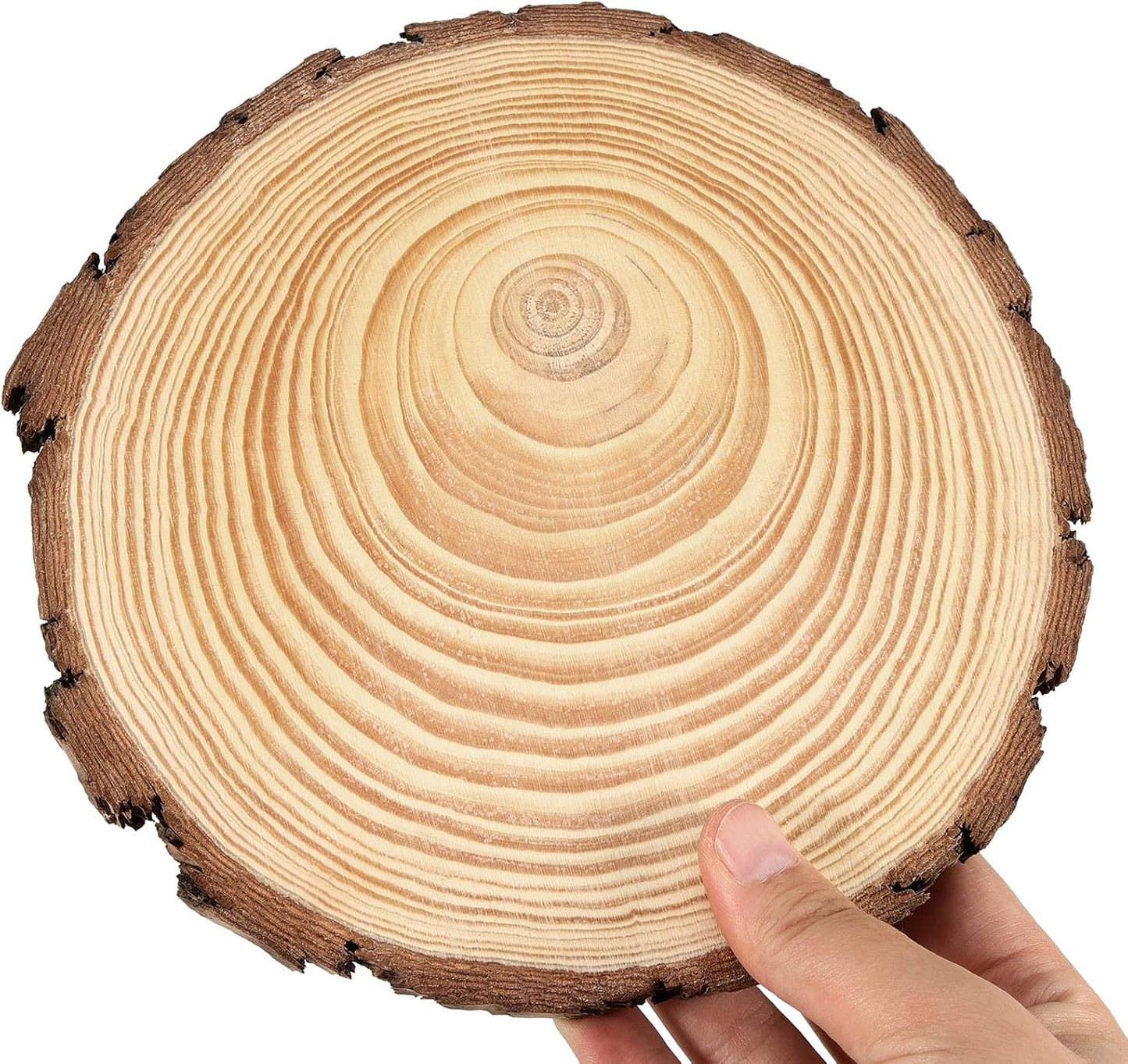 JEUIHAU 6 PCS 8-10 Inches Natural Unfinished Wood Slices, Round Wooden Tree Bark Discs, Wooden Circles for DIY Crafts, Christmas, Rustic Wedding Ornaments