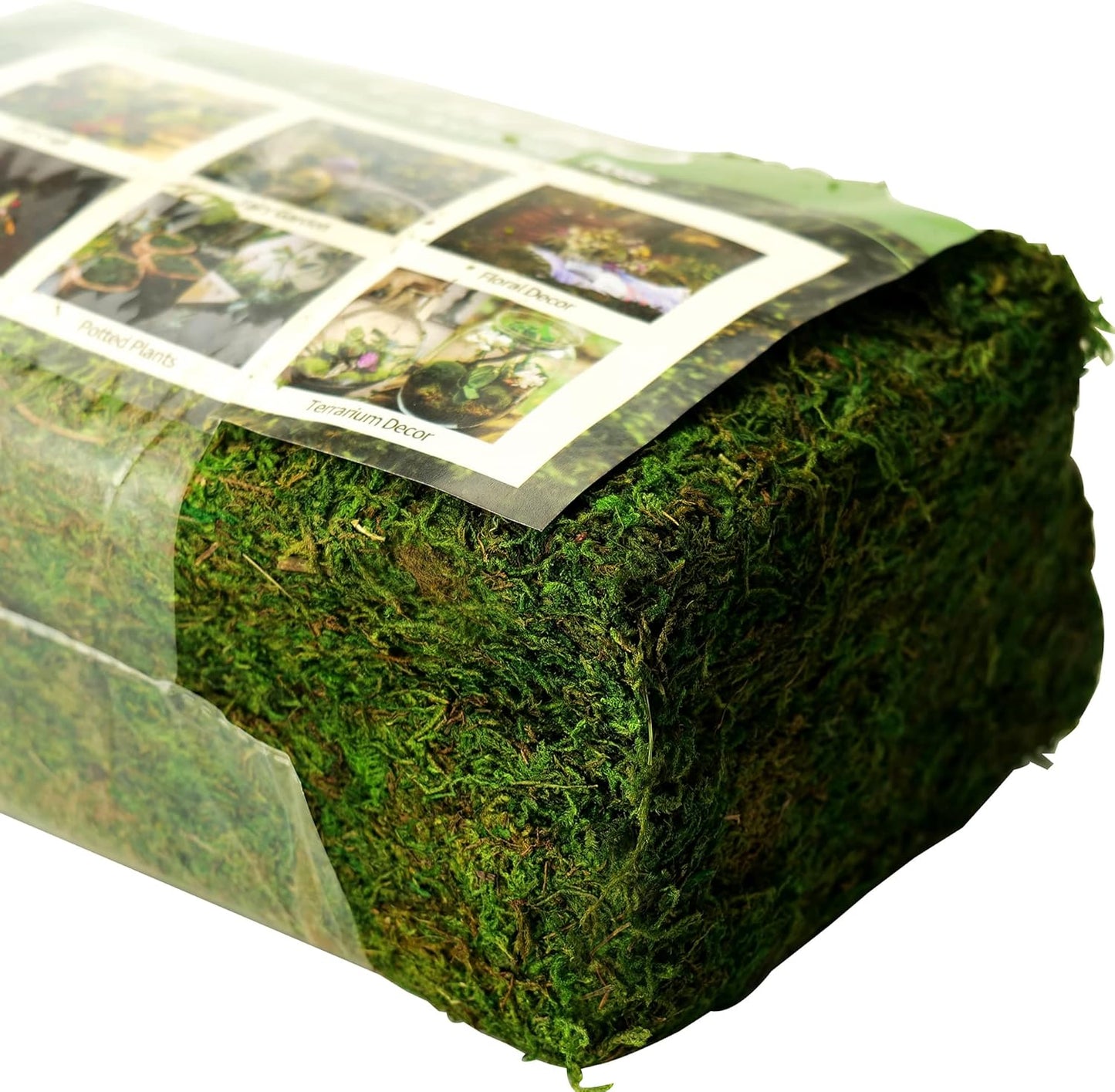 Moss for Plants Indoor, 16OZ Fresh Green Artificial Moss for DIY Crafts, Table Centerpieces- Faux Grass for Hamsters Micro-Landscape Terrariums Centerpieces Decor (Fresh Green)