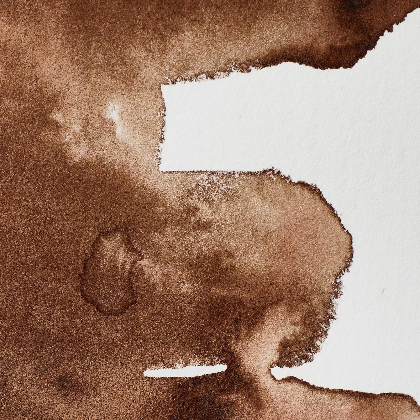 Winsor & Newton Professional Water Colour Paint, Half Pan, Vandyke Brown