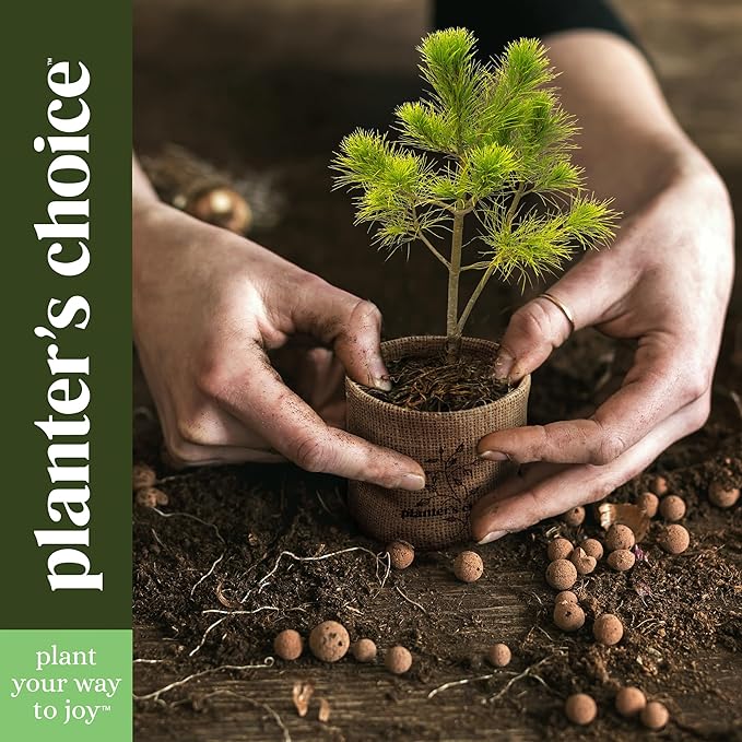 Planter's Choice Bonsai Tree Starter Kit - Unique Gifts for Women, Men - Christmas Gifts for Adults - Indoor Live House Plants - DIY Crafts for Adults Craft Kits - Hobby Gift for Gardening Lovers