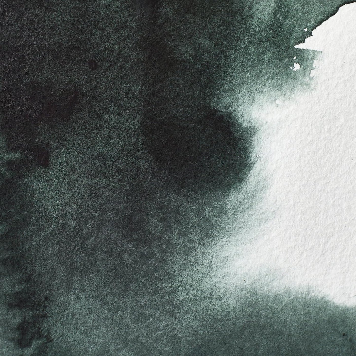 Winsor & Newton Professional Watercolor, 5ml (0.17-oz) Tube, Perylene Green