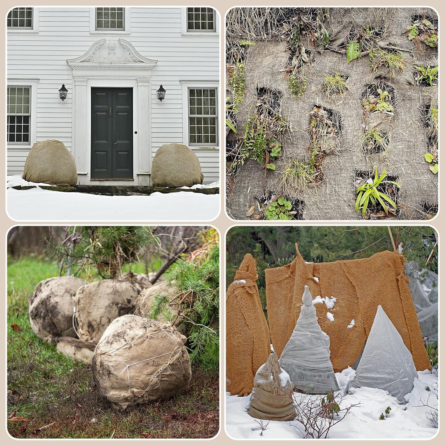 Garden Burlap Roll, 40" x 100 Feet Natural Jute Burlap Fabric Roll for Gardening Raised Bed Liners,Seed Cover,Edging,Weed Barrier,Aisle Runner Plant Cover Tree Protections (40" x 100 Feet)