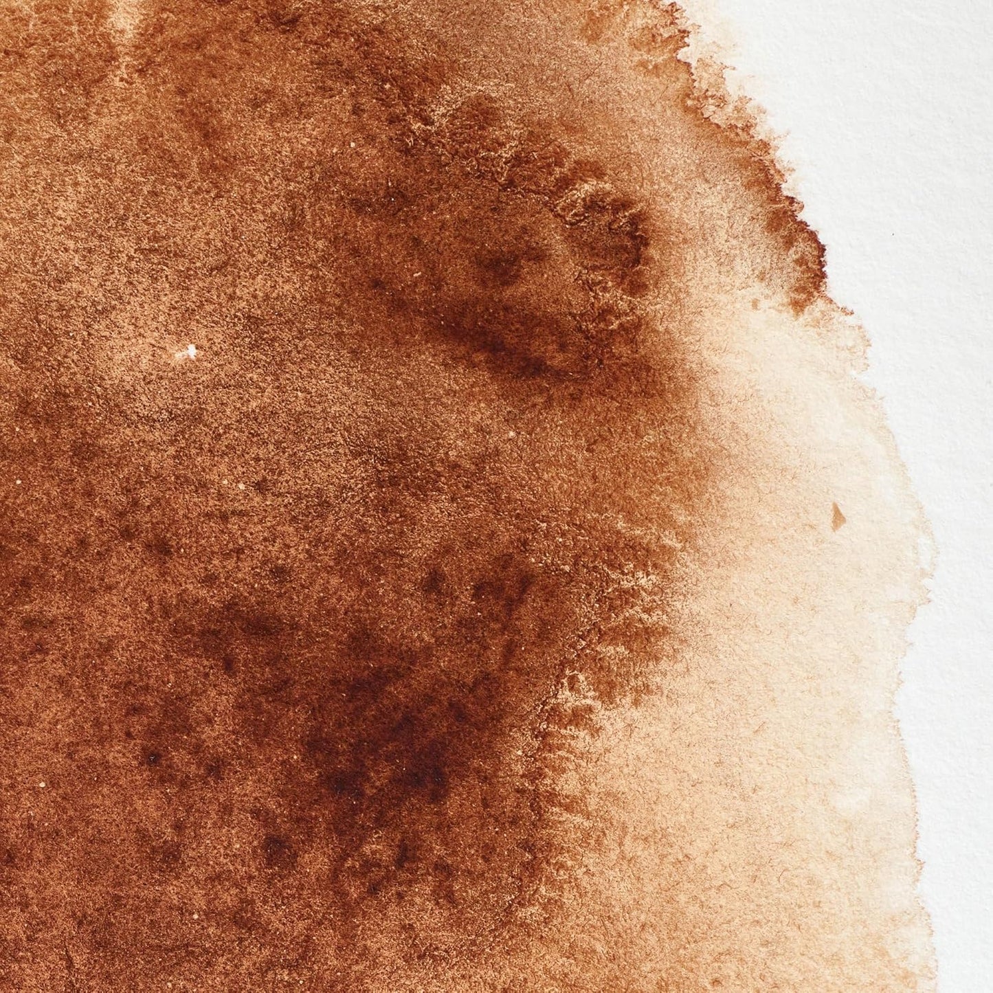 Winsor & Newton Professional Water Colour Paint, Half Pan, Burnt Umber