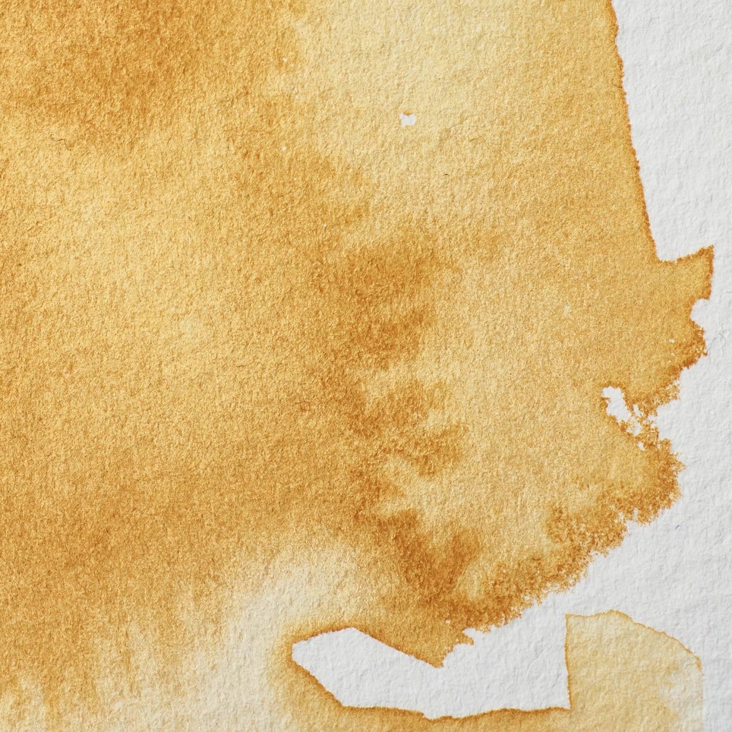 Winsor & Newton Professional Water Colour Paint, Half Pan, Yellow Ochre