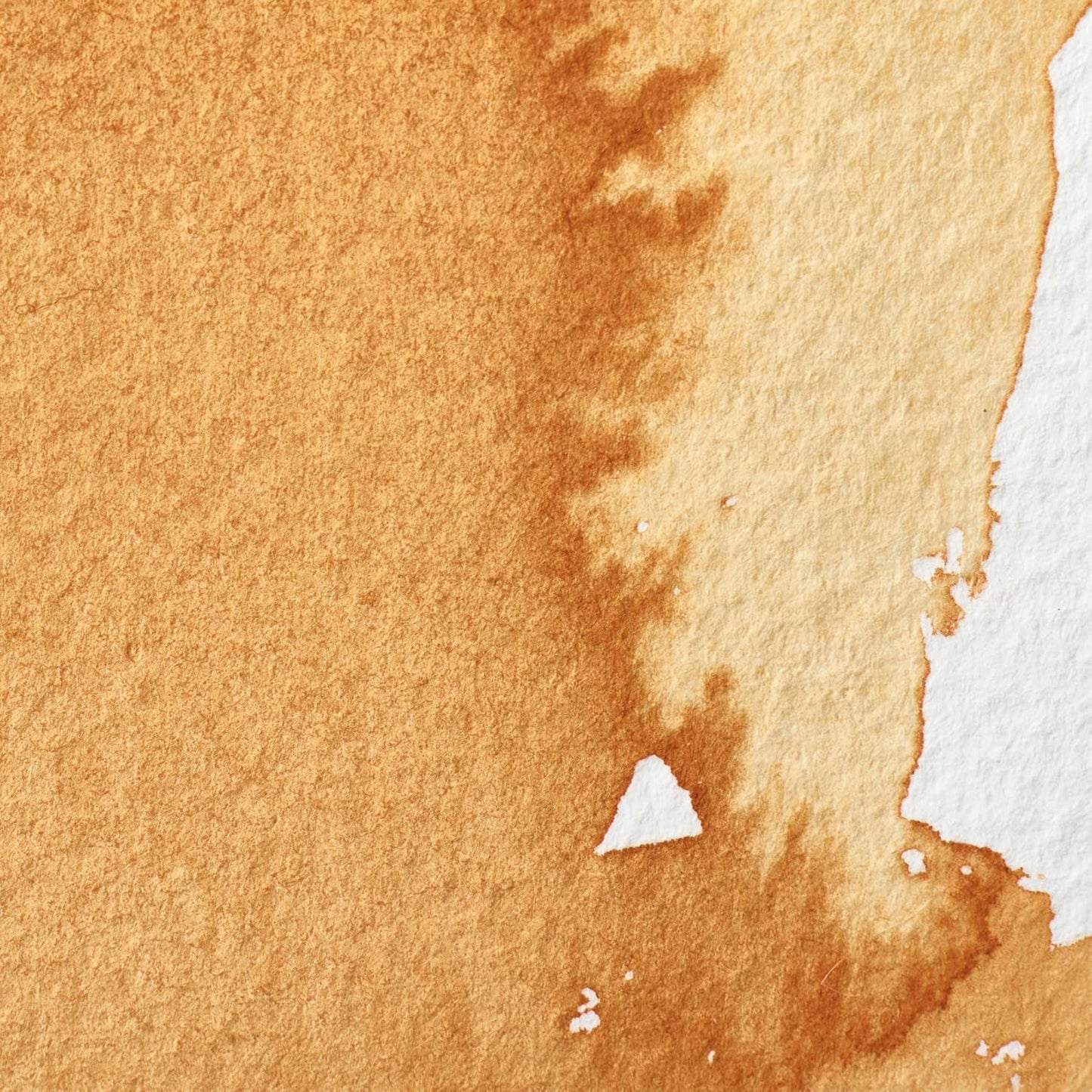 Winsor & Newton Professional Water Colour Paint, Half Pan, Gold Ochre