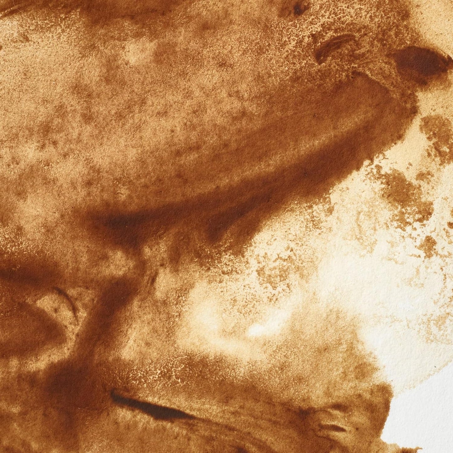 Winsor & Newton Professional Watercolor, 14ml (0.47-oz) Tube, Raw Umber