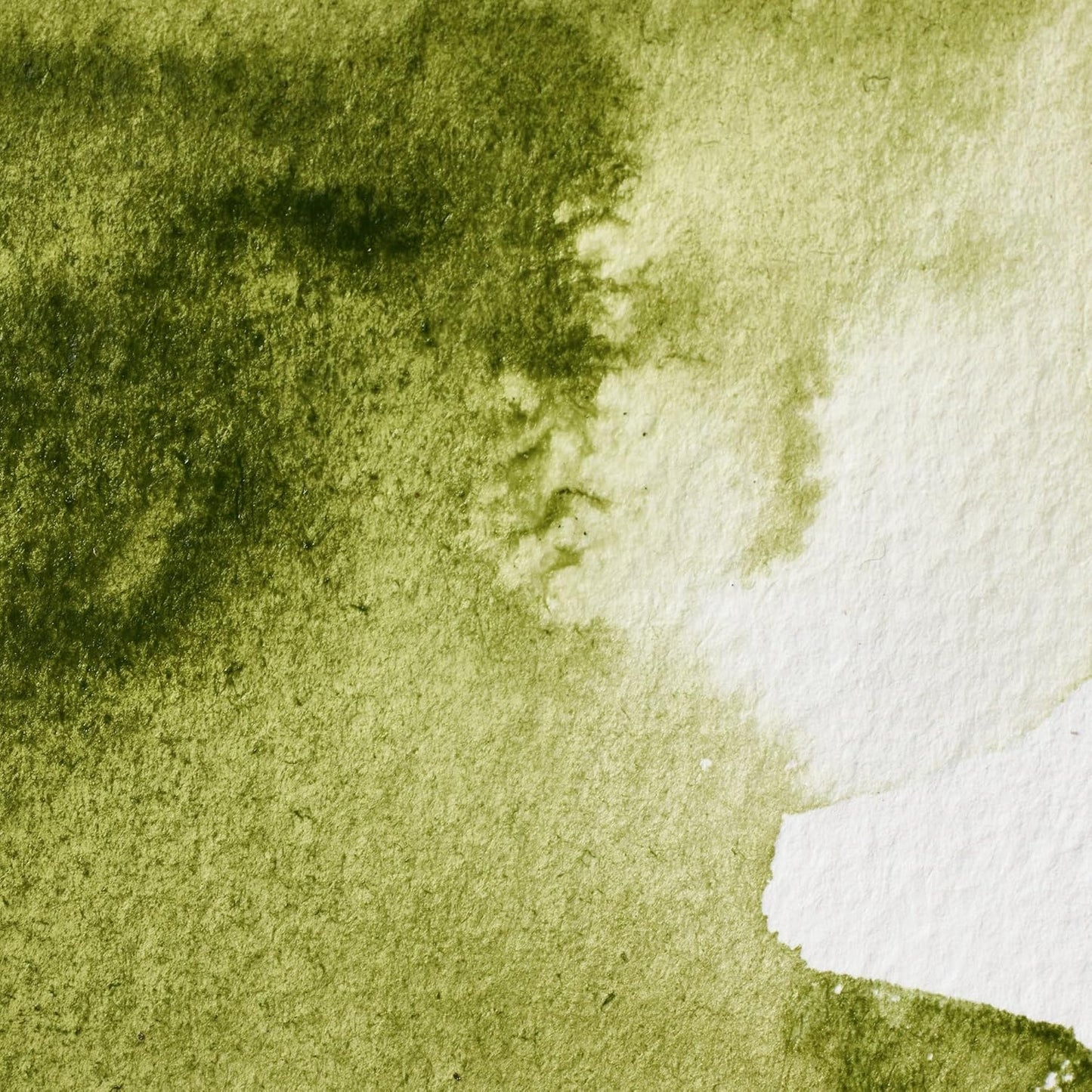 Winsor & Newton Professional Water Colour Paint, Half Pan, Olive Green