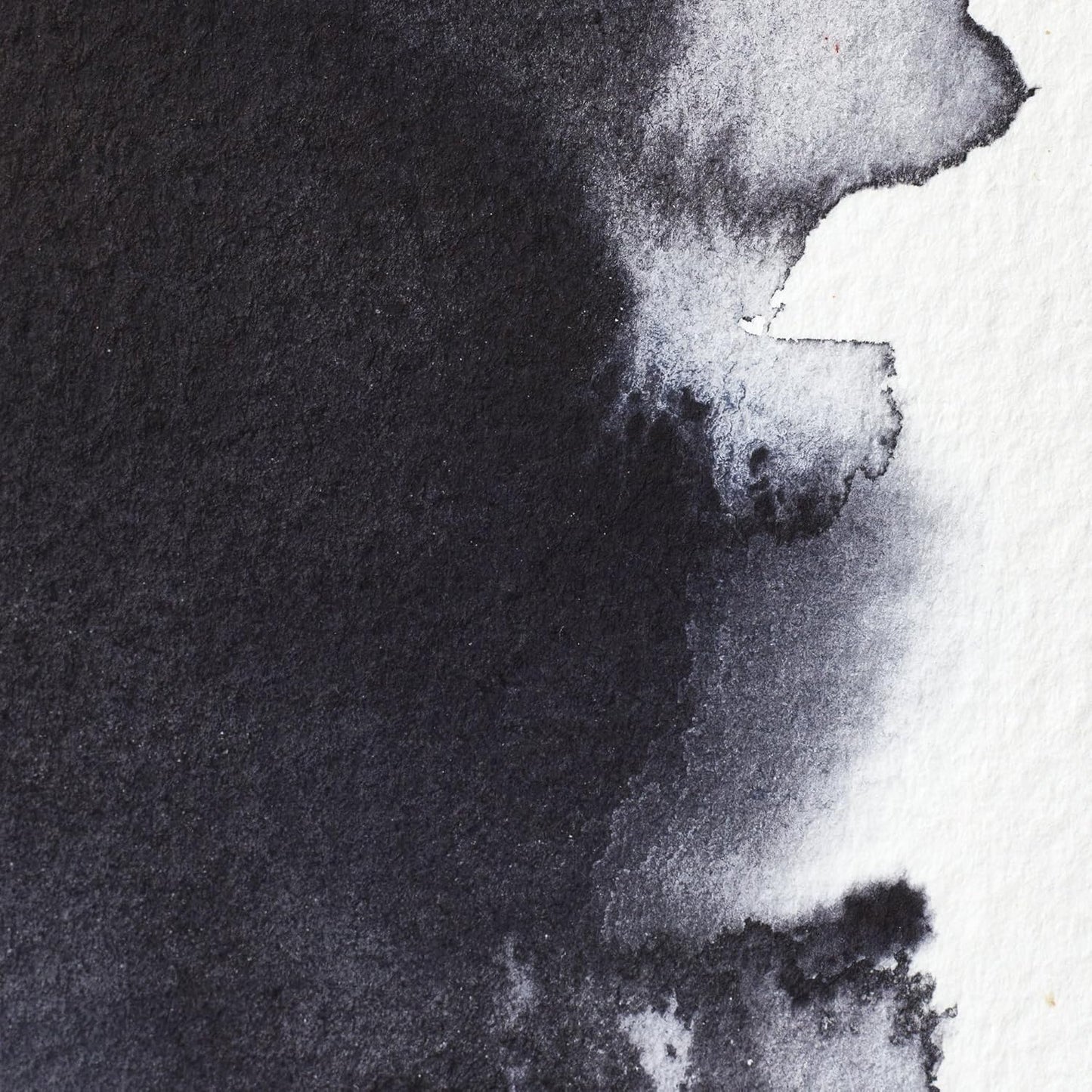 Winsor & Newton Professional Water Colour Paint, 0.17-oz Tube, Neutral Tint