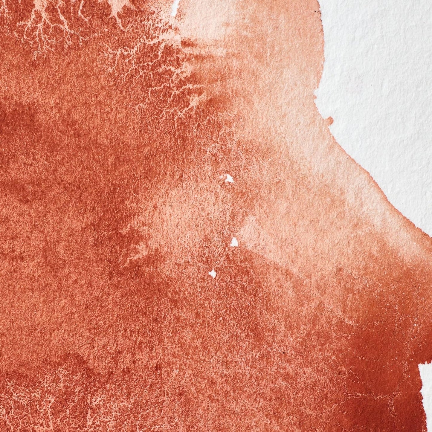 Winsor & Newton Professional Water Colour Paint, 0.47-oz Tube, Light Red