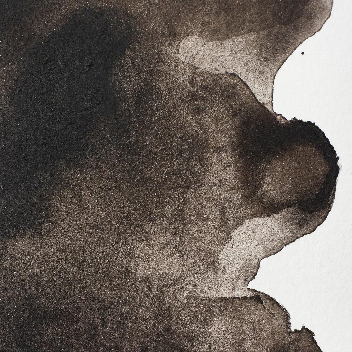 Winsor & Newton Professional Watercolor, Half Pan, Sepia