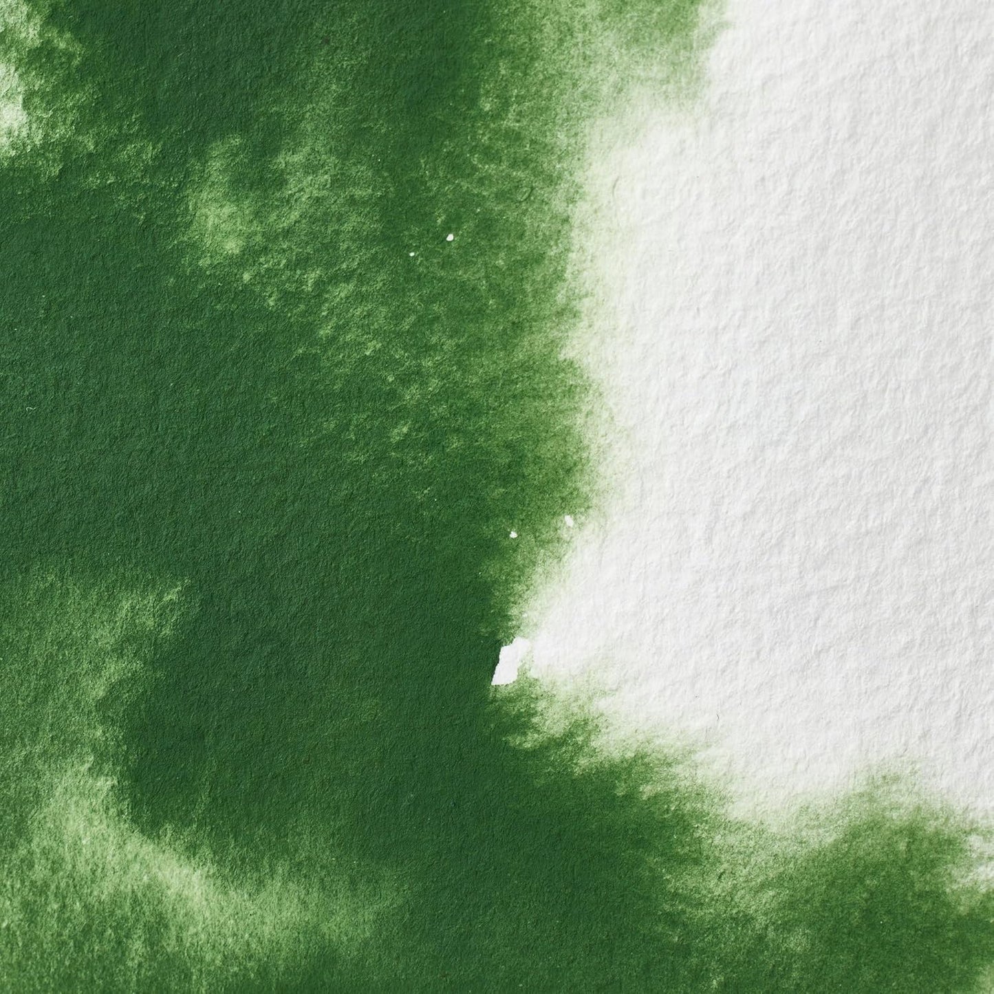 Winsor & Newton Professional Water Colour Paint, Half Pan, Oxide of Chromium