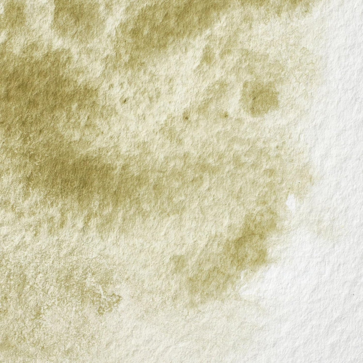 Winsor & Newton Professional Water Colour Paint, 0.47-oz Tube, Terre Verte (Yellow Shade)