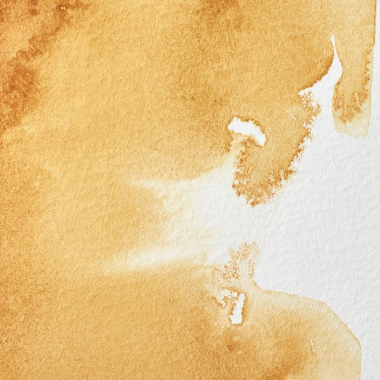 Winsor & Newton Professional Water Colour Paint, Half Pan, Raw Sienna