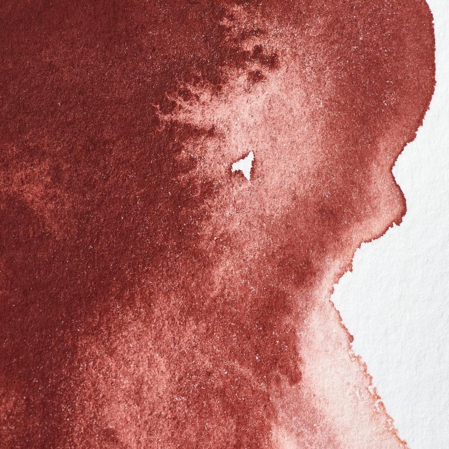 Winsor & Newton Professional Water Colour Paint, Half Pan, Indian Red