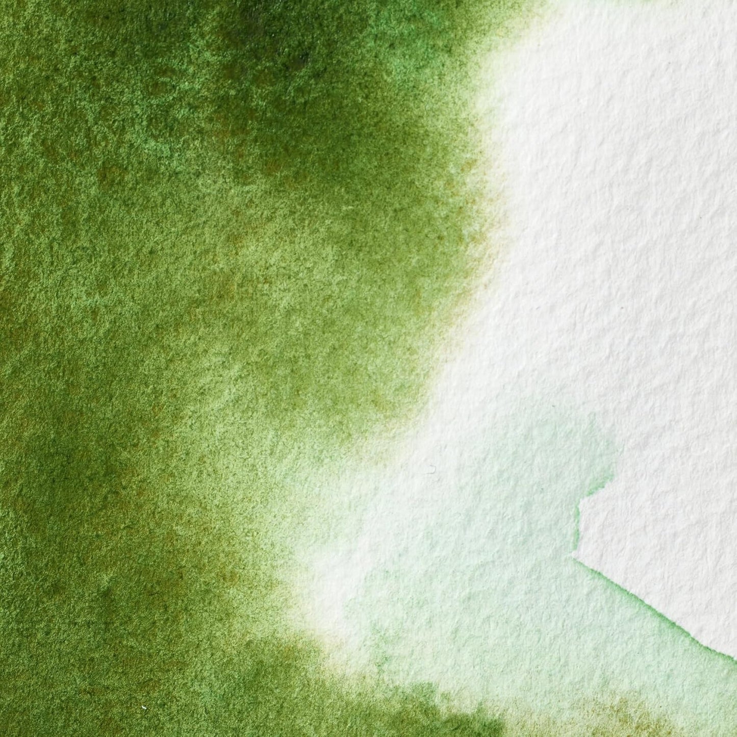 Winsor & Newton Professional Water Colour Paint, Half Pan, Permanent Sap Green