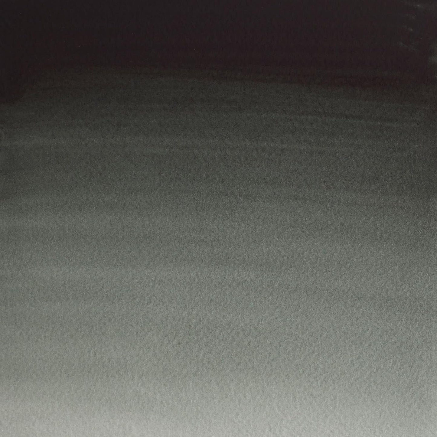 Winsor & Newton Professional Water Colour Paint, 0.47-oz Tube, Perylene Green