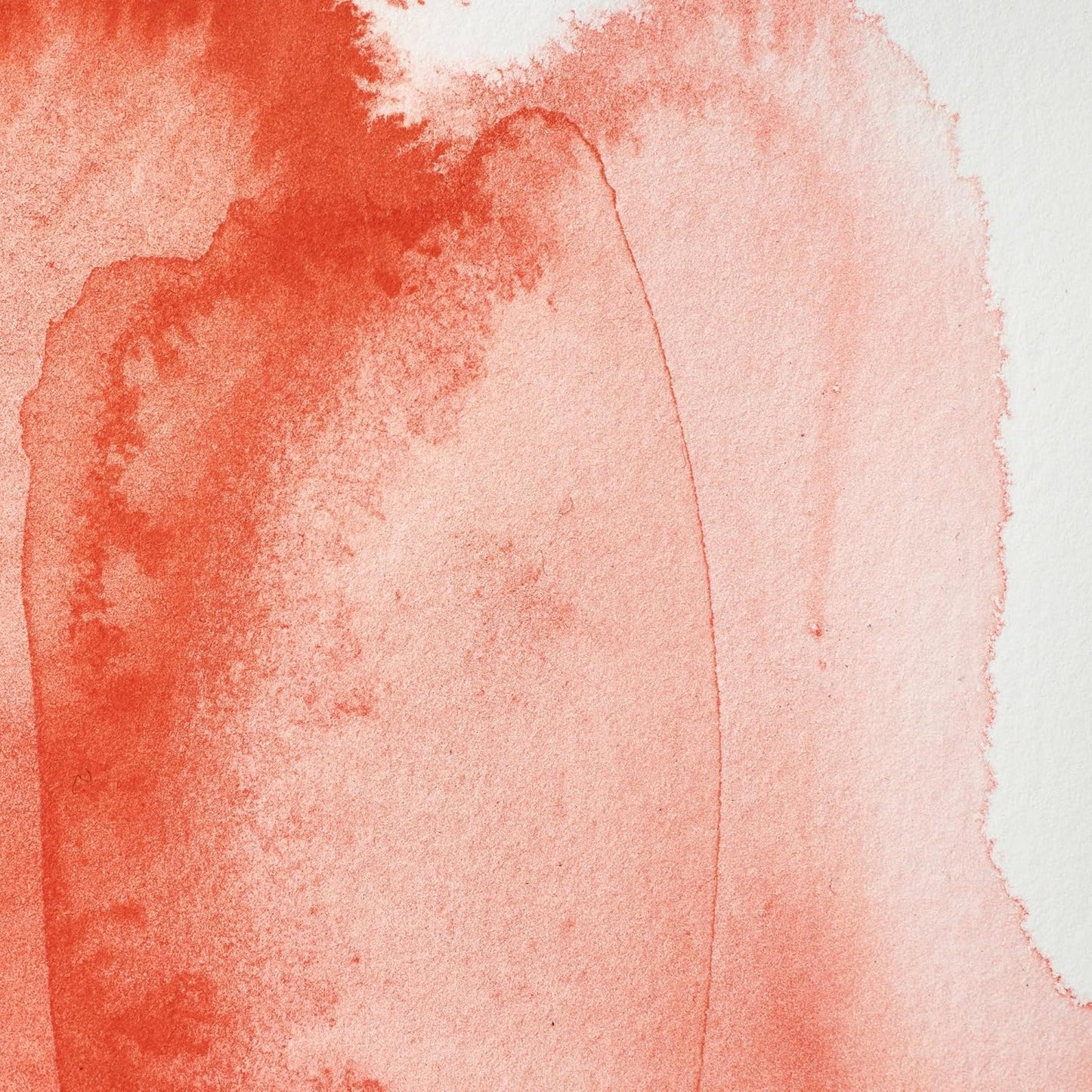 Winsor & Newton Professional Watercolor, 14ml (0.47-oz) Tube, Cadmium Scarlet