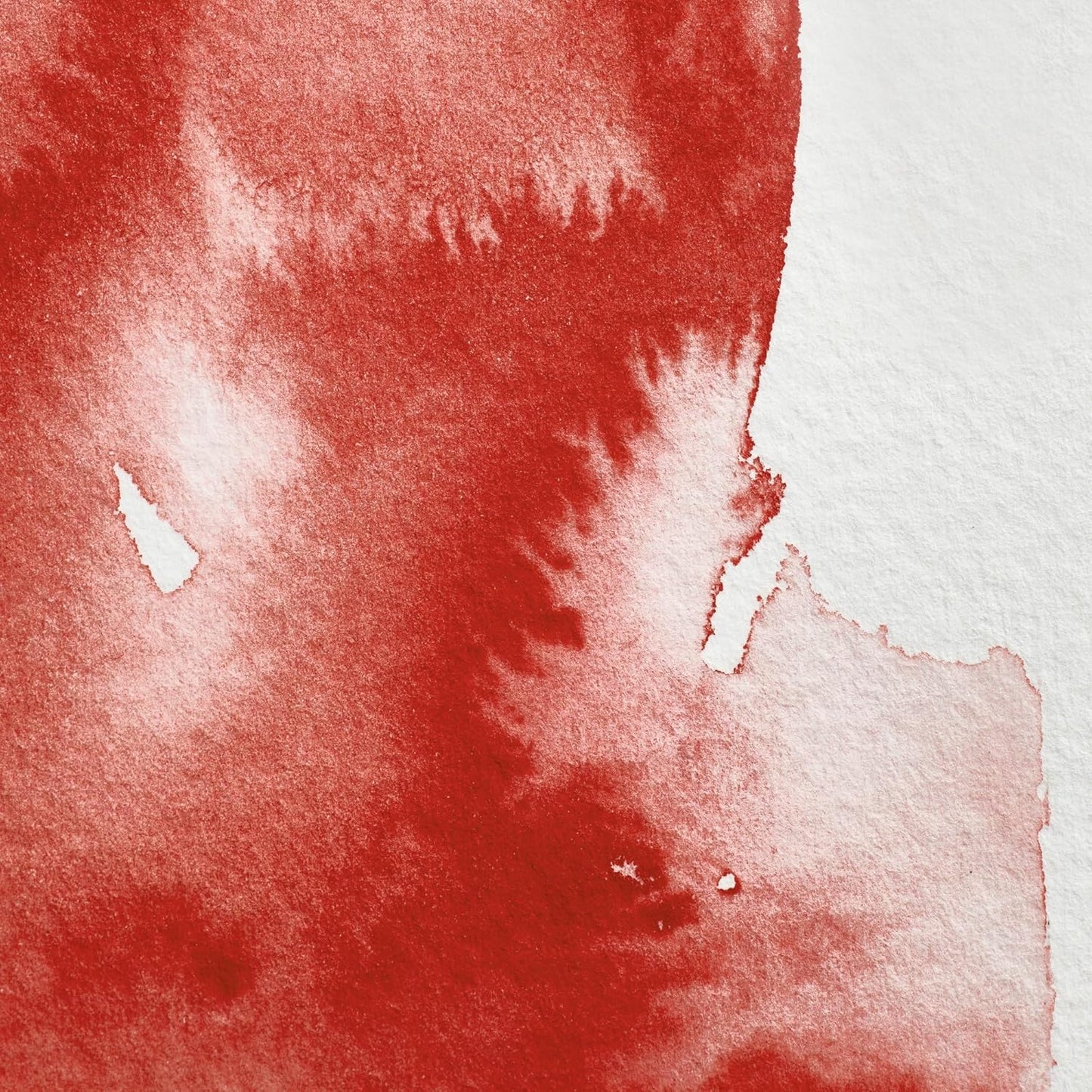 Winsor & Newton Professional Water Colour Paint, Half Pan, Winsor Red