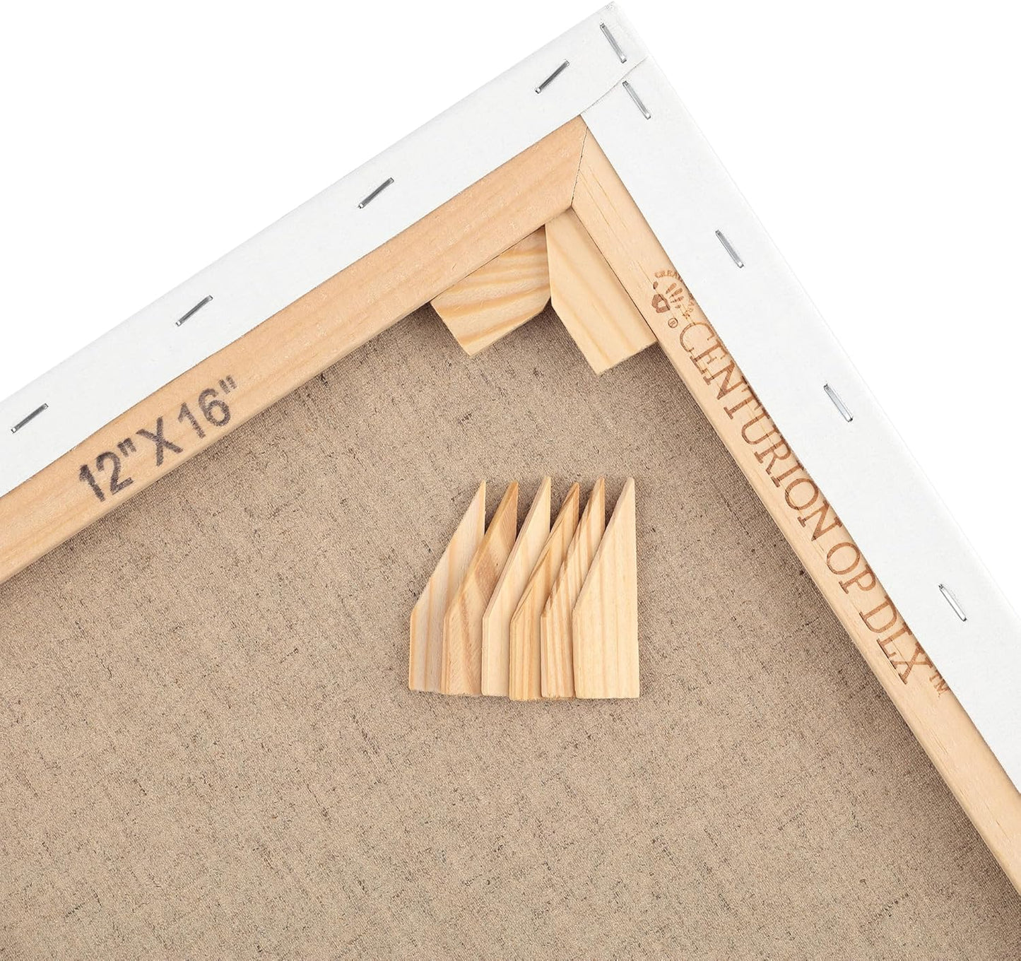 Centurion Deluxe Professional Oil Primed Linen Stretched Canvas, 11oz Linen, 24x48 - Box of 6, 0.67" Deep Canvases, Kiln-Dried Stretchers, Back Stapled, Premium Medium Weight Canvas for Oil Paintings