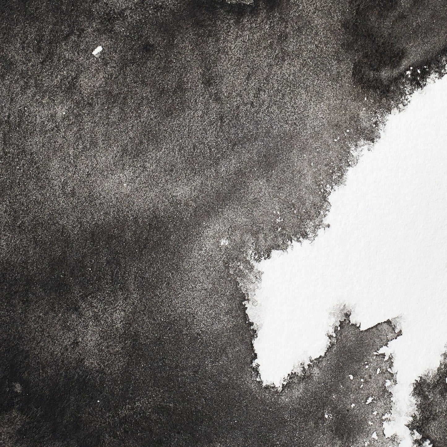 Winsor & Newton Professional Watercolor, 5ml (0.17-oz) Tube, Ivory Black