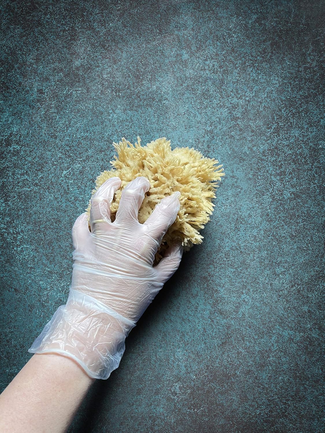 Natural Sea Wool Art Sponge: Premium Professional Grade 5"-6" Unbleached, Excellent for Painting, Decorating, Texturing, Sponging, Marbling Effects, Faux Finishes, Crafts & More by Lullingworth®