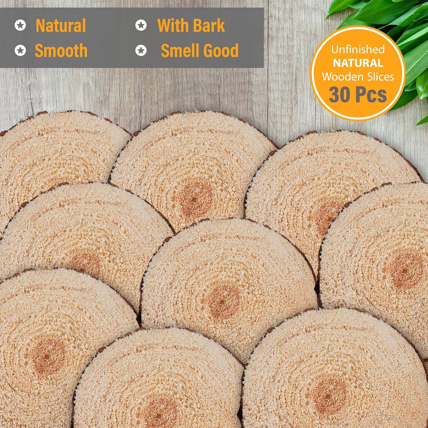 Wood Slices in Mesh Bag for Crafts DIY Projects Rustic Wedding Decorations Ornaments Coasters Tags Home Decor (Natural)